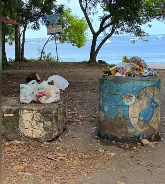 Overflowing bins and litter at a beach entrance.